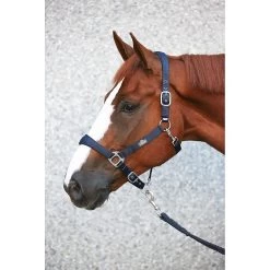 Emmers Halster Luxe -Equestrian Supply Store 003 6107