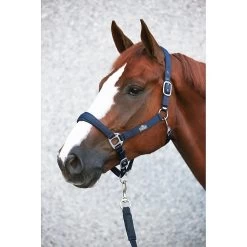 Emmers Halster Luxe -Equestrian Supply Store 003 6120