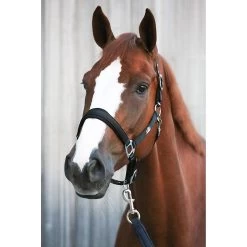 Emmers Halster Luxe -Equestrian Supply Store 003 6169