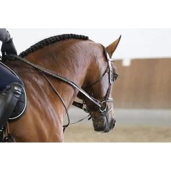 LJ Full Jump Assist 9 LJ Full Jump Assist -Equestrian Supply Store 0X5A6190