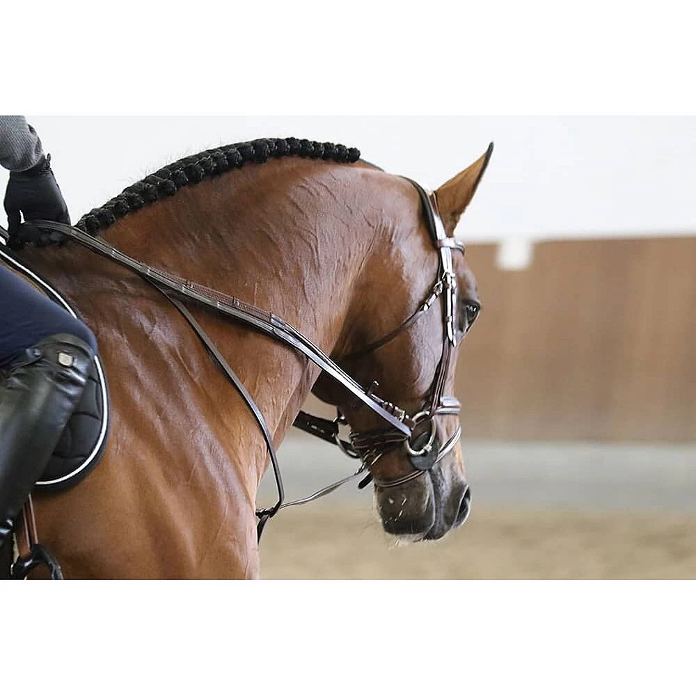 LJ Full Jump Assist 6 LJ Full Jump Assist - Image 4