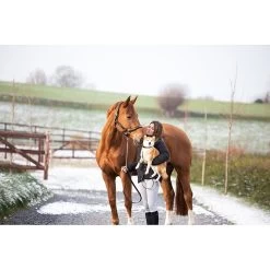 HFI Halster Polo -Equestrian Supply Store 1.HFI163320Polo20horse20dog20BREO