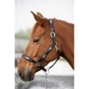 HFI Halster Polo -Equestrian Supply Store 1.HFI1633BKNS20Tete20profil