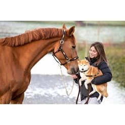 HFI Halster Polo -Equestrian Supply Store 1.Polo20horse20dog20BRNG