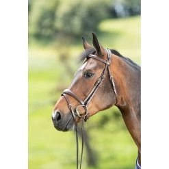 HFI Technical Hoofdstel 19 HFI Technical Hoofdstel -Equestrian Supply Store 1.hfi013br20tete2