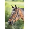 HFI Technical Hoofdstel 1 HFI Technical Hoofdstel -Equestrian Supply Store 1.hfi015br20tete1
