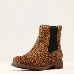 Ariat Schoen Wexford | Dames