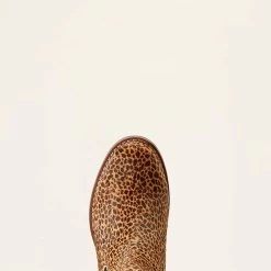 Ariat Schoen Wexford | Dames -Equestrian Supply Store 10046976 toe warm