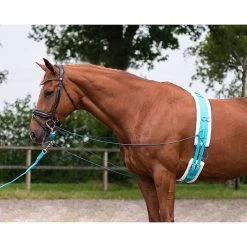 Qhp Longeerlijn In Tas -Equestrian Supply Store 1019sk 1