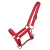 QHP Jaarling Halster -Equestrian Supply Store 1114ro