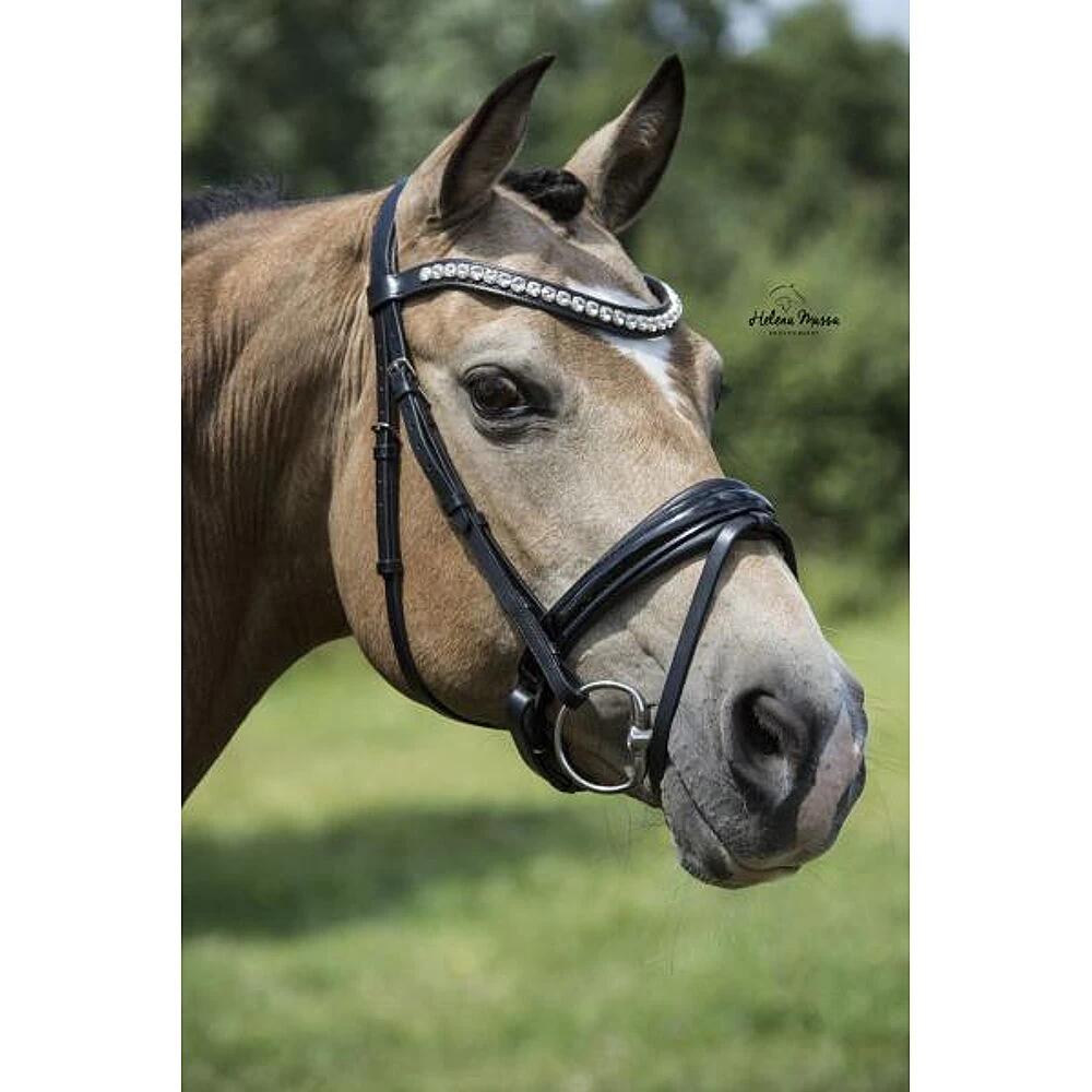 Hoofdstel Argento | Lak Aansnoer Neusiem 3 Hoofdstel Argento | Lak Aansnoer Neusiem