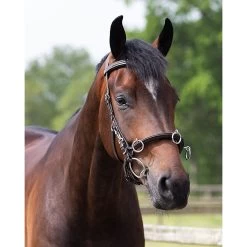 QHP Kaptoom | Leer 23 QHP Kaptoom | Leer -Equestrian Supply Store 1699br 4