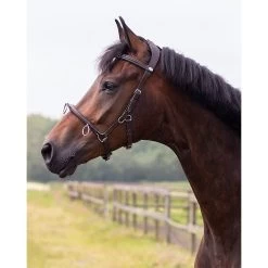 QHP Kaptoom | Leer 24 QHP Kaptoom | Leer -Equestrian Supply Store 1699br 5