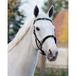 QHP Kaptoom | Leer 17 QHP Kaptoom | Leer -Equestrian Supply Store 1699zw 1 3