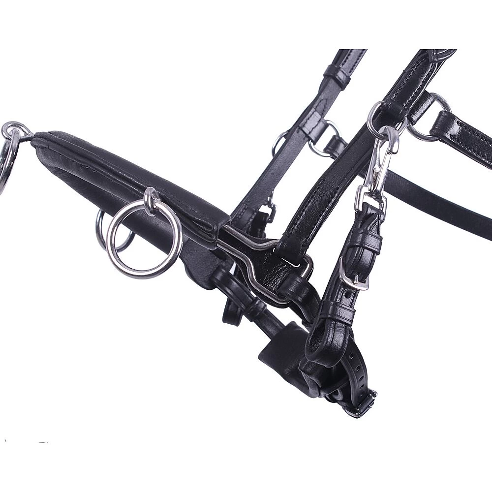 QHP Kaptoom | Leer 5 QHP Kaptoom | Leer - Image 3