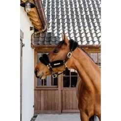 Kentucky Halster | Nylon + Wol Soft -Equestrian Supply Store 179A4052