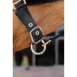Kentucky Halster | Nylon + Wol Soft -Equestrian Supply Store 179A4082 1orq3faxllw4k
