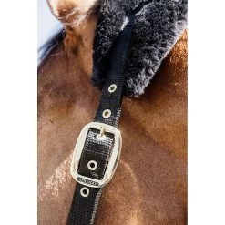 Kentucky Halster | Nylon + Wol Soft -Equestrian Supply Store 179A4086 12eu1afv7s6cs