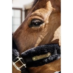 Kentucky Halster | Nylon + Wol Soft -Equestrian Supply Store 179A4092 eyuj1i3ryqkc