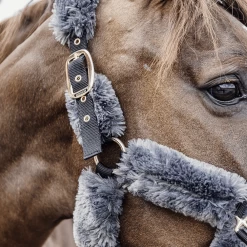 Kentucky Halster | Nylon + Wol 29 Kentucky Halster | Nylon + Wol -Equestrian Supply Store 179a5114 e8502ded370e565d04389cf2c54c4715 article photobook crop