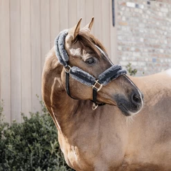 Kentucky Halster | Nylon + Wol 28 Kentucky Halster | Nylon + Wol -Equestrian Supply Store 179a5144 e8502ded370e565d04389cf2c54c4715 article photobook crop