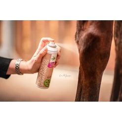 Parisol Desinfectie Spray 200ml -Equestrian Supply Store 1901 1 1920x1920