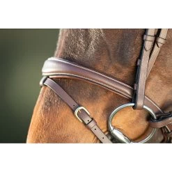 HFI Technical Hoofdstel 20 HFI Technical Hoofdstel -Equestrian Supply Store 2.hfi013br20muserolle