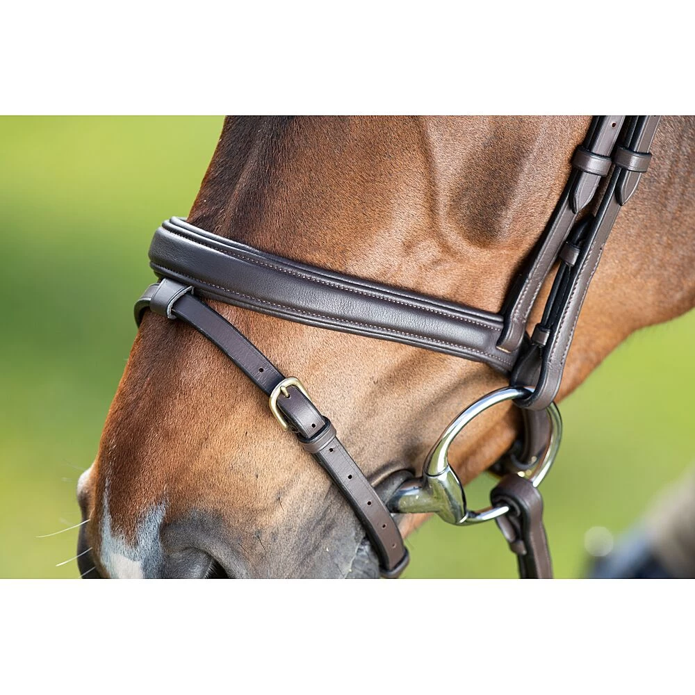 HFI Technical Hoofdstel 4 HFI Technical Hoofdstel - Image 2