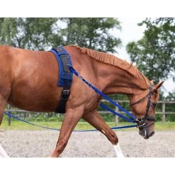 QHP Bijzetteugels Color 9 QHP Bijzetteugels Color -Equestrian Supply Store 2168kb 11