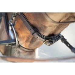 HFI Technical Hoofdstel 15 HFI Technical Hoofdstel -Equestrian Supply Store 3.hfi015br20ss20barbe1