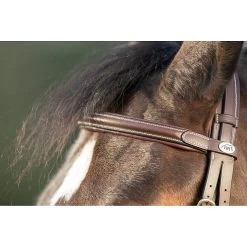 HFI Technical Hoofdstel 21 HFI Technical Hoofdstel -Equestrian Supply Store 4.hfi013br20frontal