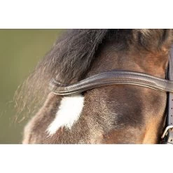 HFI Technical Hoofdstel 16 HFI Technical Hoofdstel -Equestrian Supply Store 4.hfi015br20frontal1