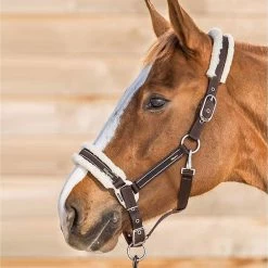 Lamicell Halster Elegance Wool -Equestrian Supply Store 401707 3115600599
