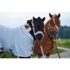 Eskadron Halster Double Pin Velvet Jewel | Platinum 23 -Equestrian Supply Store 420139836 310 1