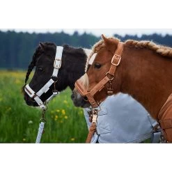 Eskadron Halster Double Pin Velvet Jewel | Platinum 23 -Equestrian Supply Store 420139836 310 3