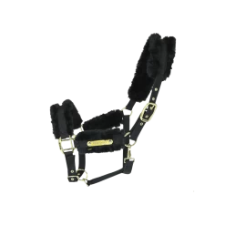 Kentucky Halster | Nylon + Wol 17 Kentucky Halster | Nylon + Wol -Equestrian Supply Store 42504 01 e8502ded370e565d04389cf2c54c4715 article photobook crop