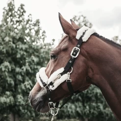 Kentucky Halster | Nylon + Wol 24 Kentucky Halster | Nylon + Wol -Equestrian Supply Store 42504 02 e8502ded370e565d04389cf2c54c4715 article photobook crop