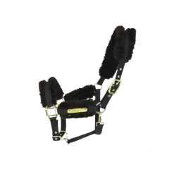 Kentucky Halster | Nylon + Wol 19 Kentucky Halster | Nylon + Wol -Equestrian Supply Store 42504 05 e8502ded370e565d04389cf2c54c4715 article photobook crop23