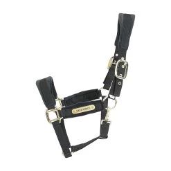 Kentucky Halster | Velvet -Equestrian Supply Store 42558 01 F