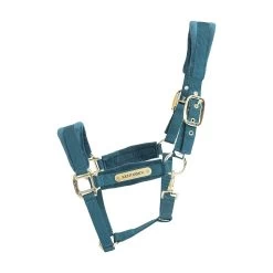 Kentucky Halster | Velvet -Equestrian Supply Store 42558 71 F