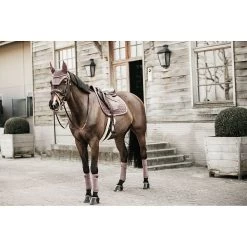Kentucky Zadeldek Velvet | Jumping -Equestrian Supply Store 42579 VS kentucky zadeldoek velvet lila4 2