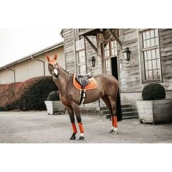 Kentucky Zadeldek Velvet | Jumping -Equestrian Supply Store 42579 VS kentucky zadeldoek velvet oranje2