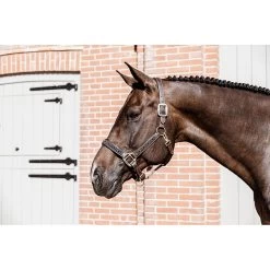 Kentucky Halster | Pearls -Equestrian Supply Store 485A5106202