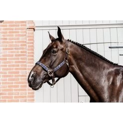 Kentucky Halster | Pearls -Equestrian Supply Store 485A5149201