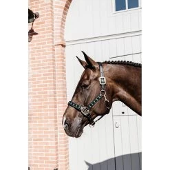 Kentucky Halster | Pearls -Equestrian Supply Store 485A5159202