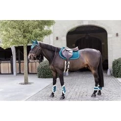 Kentucky Peesbeschermers | Bamboo Elastic | Vegan Wol -Equestrian Supply Store 485A7205