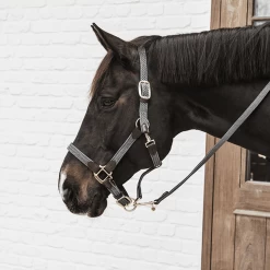 Kentucky Presentatielijn | Gevlochten Nylon | 2M -Equestrian Supply Store 485a0594 e8502ded370e565d04389cf2c54c4715 article photobook crop