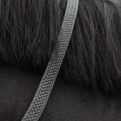 Kentucky Presentatielijn | Gevlochten Nylon | 2M -Equestrian Supply Store 485a0600 e8502ded370e565d04389cf2c54c4715 article photobook crop