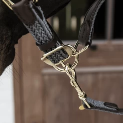 Kentucky Presentatielijn | Gevlochten Nylon | 2M -Equestrian Supply Store 485a0603 e8502ded370e565d04389cf2c54c4715 article photobook crop