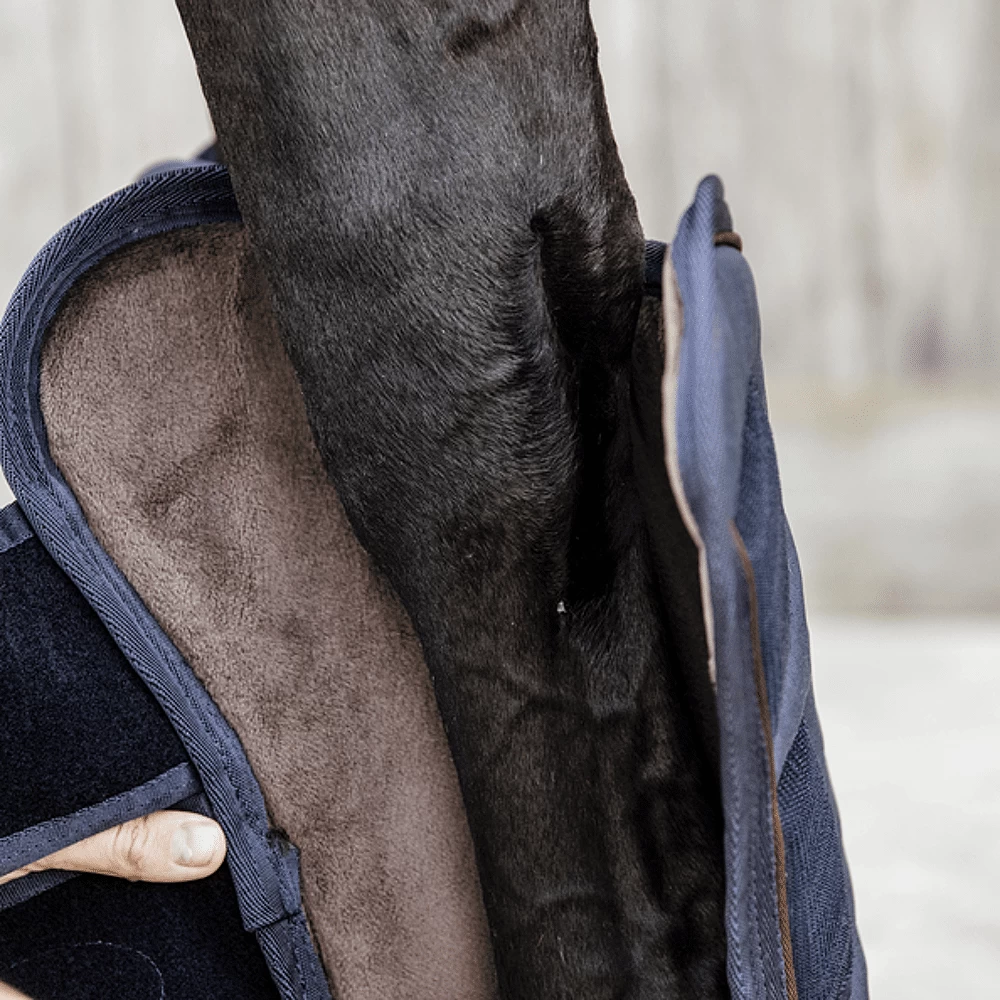 Kentucky Transportbeschermers 7 Kentucky Transportbeschermers - Image 5